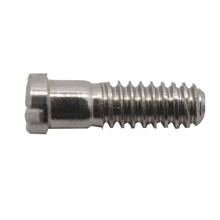 Nose Pad Screws: 313 (100pcs)